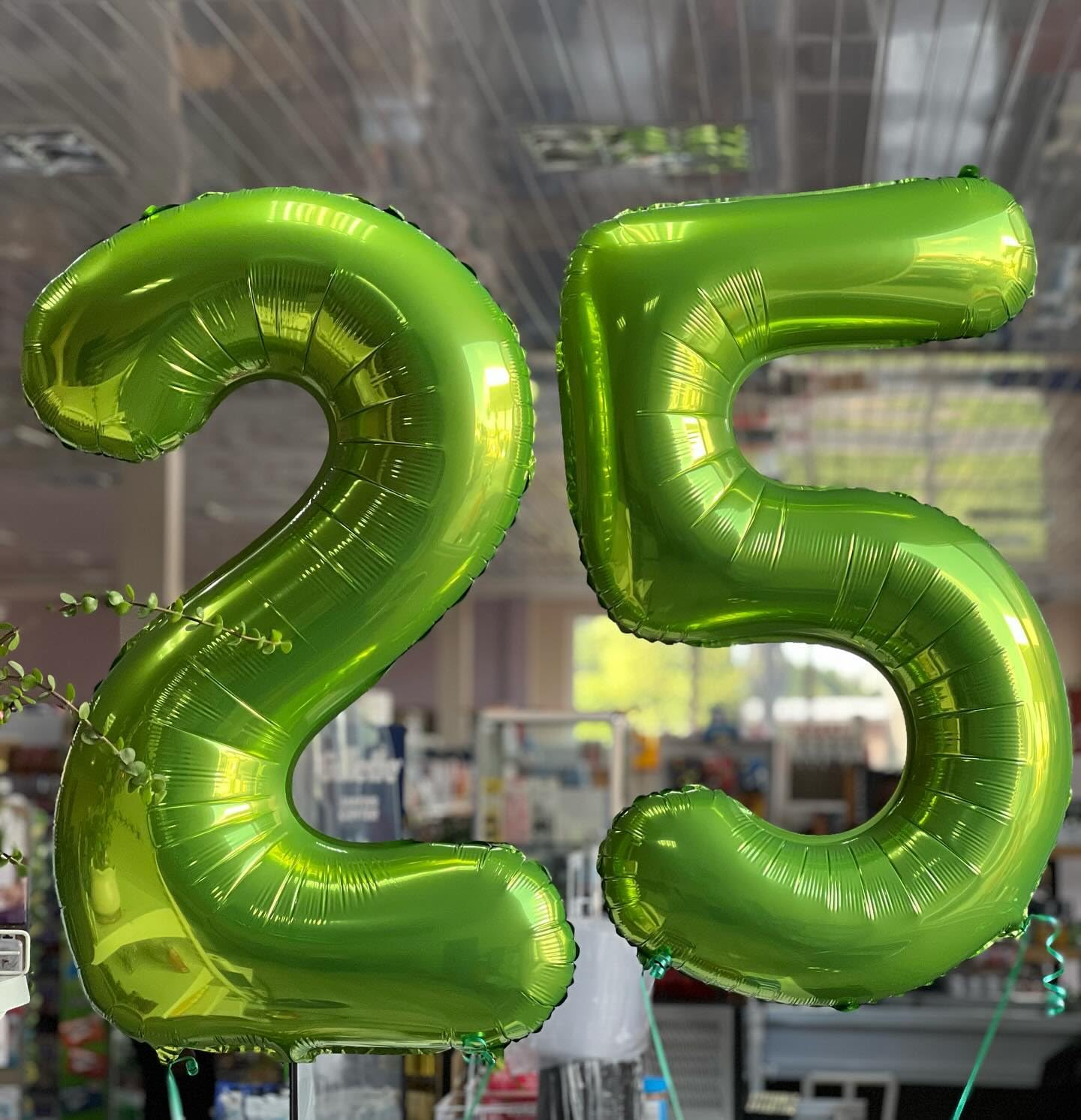 IWERP Light Green 40-Inch Number 9 Balloon – 9th Birthday Decor