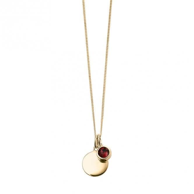 January Yellow Gold Plated Birthstone Engravable Disc Necklace P5008
