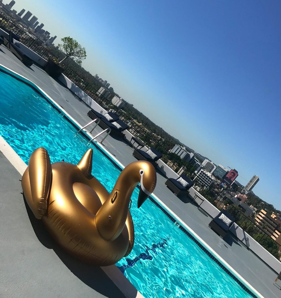 Jasonwell Giant Inflatable Golden Swan Pool Float – XXL 75 x 67 x 51.2 in, Two Adults, Fast Valves