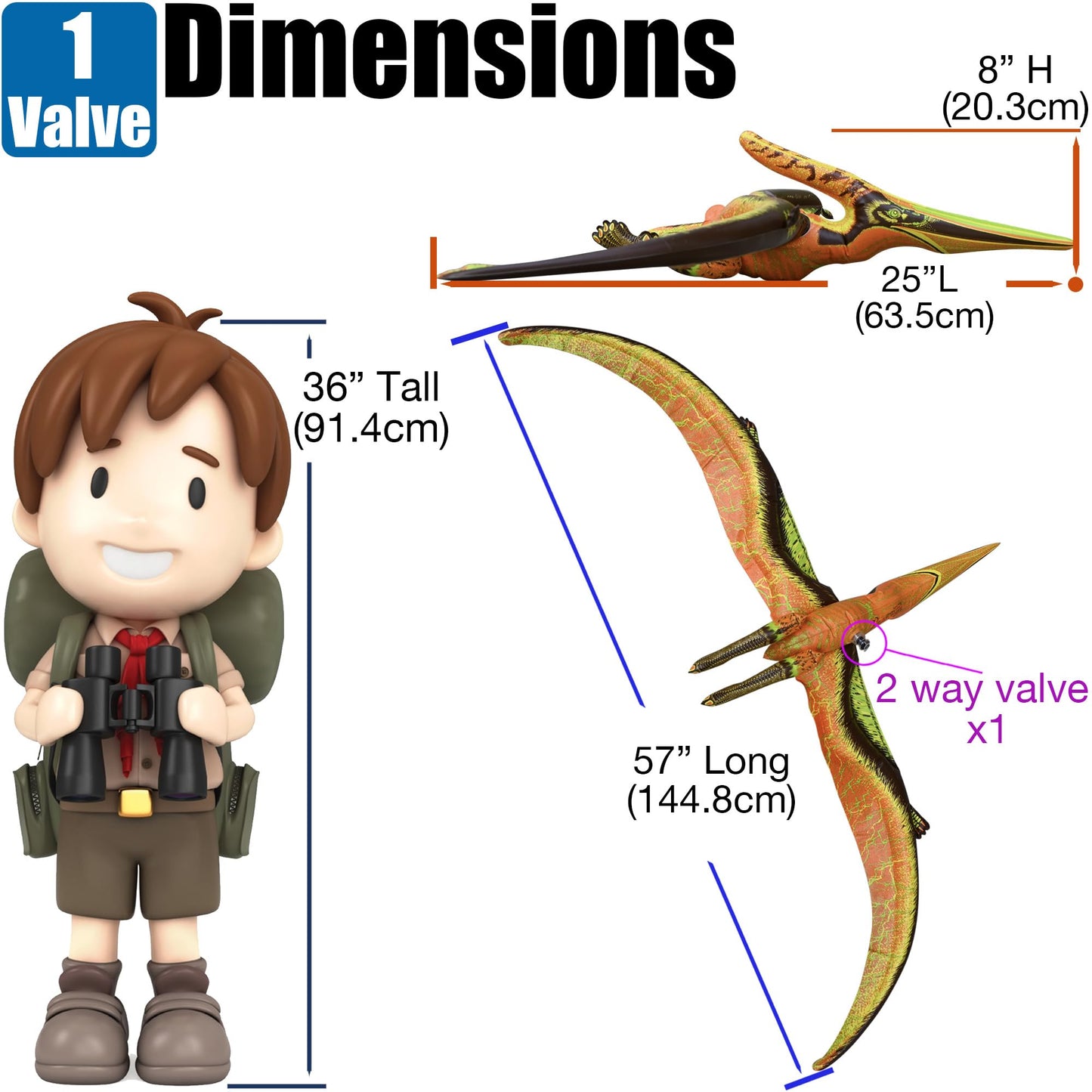 Jet Creations DI-PTE Dinosaur Pteranodon Inflatable – 57-inch Wingspan for Pool Parties & Birthday Decor