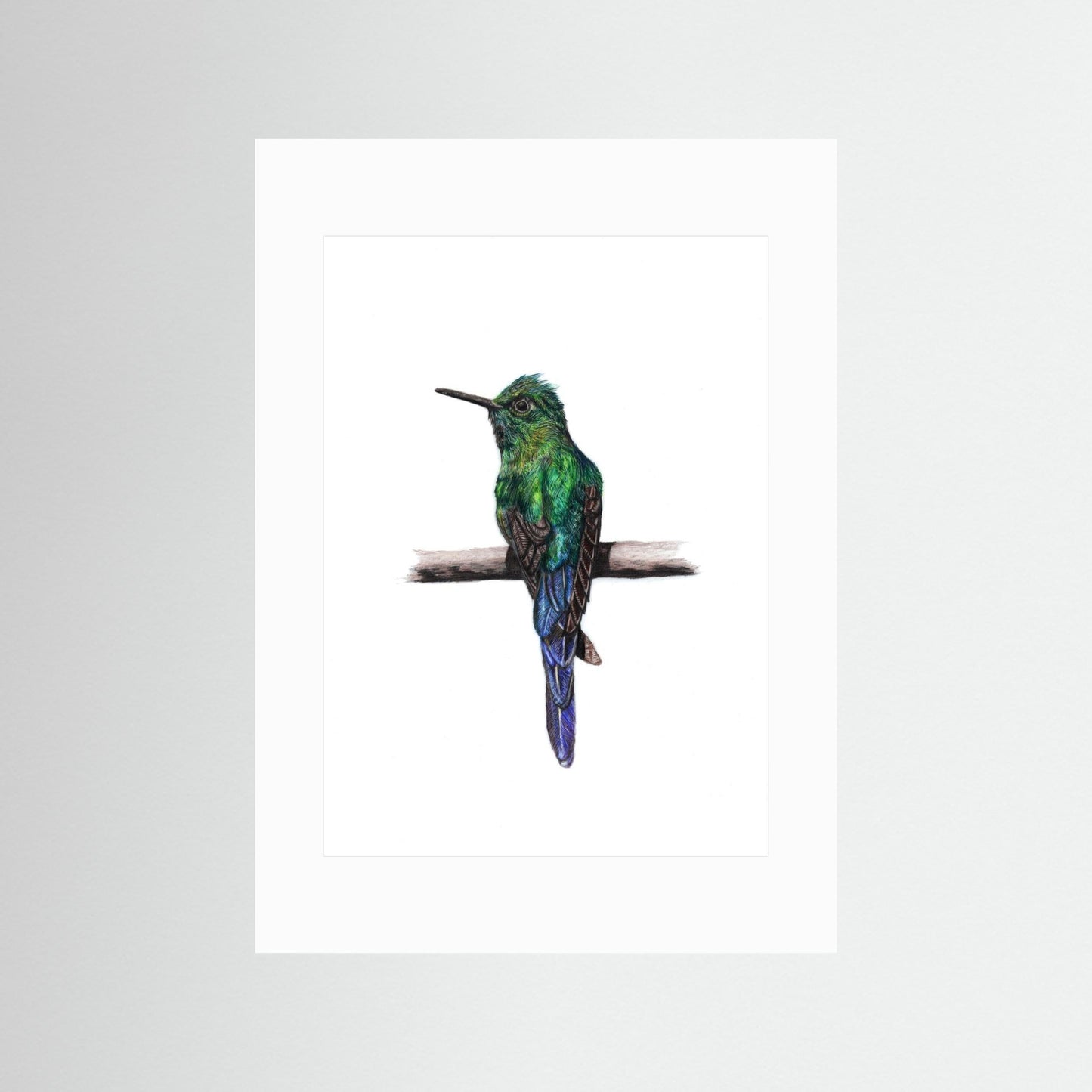 Hummingbird Wall Art Print – Fine Art Wildlife Illustration