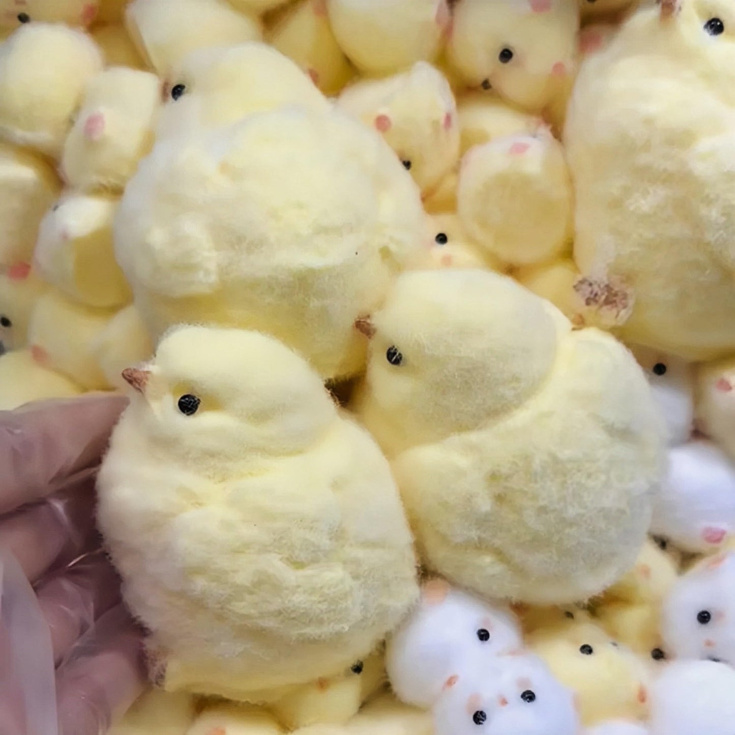 JIACAI Handmade Chick Squishy Toy — Ultra-Soft Fidget Stress Reliever