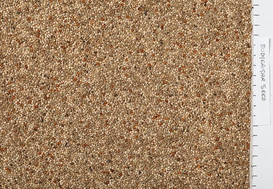Johnston & Jeff Budgerigar Seed