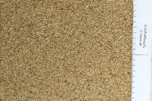 Johnston & Jeff Champions Choice Budgieseed