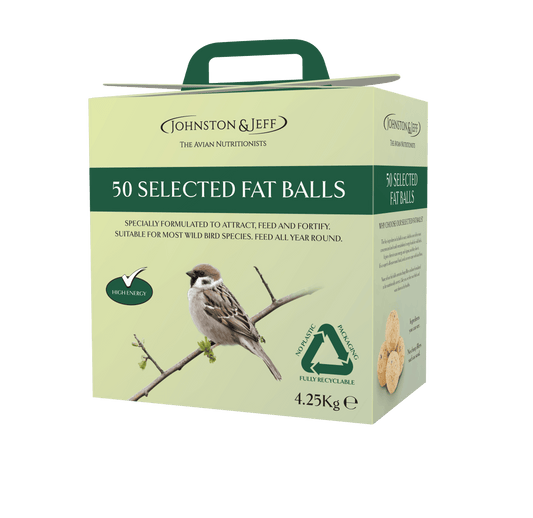 Johnston & Jeff Fatballs Refill No Nets Box x50