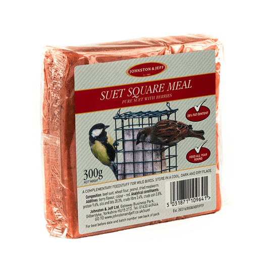 Johnston & Jeff Suet Blocks with Berries 24x300g