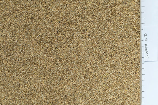 Johnston & Jeff Super 50 Budgieseed