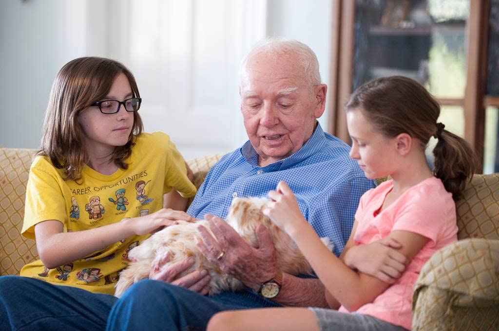 JOY FOR ALL Companion Cat - Realistic Animatronic Cat for Seniors | Soft-Touch Fur, Purring & Interactive Companionship