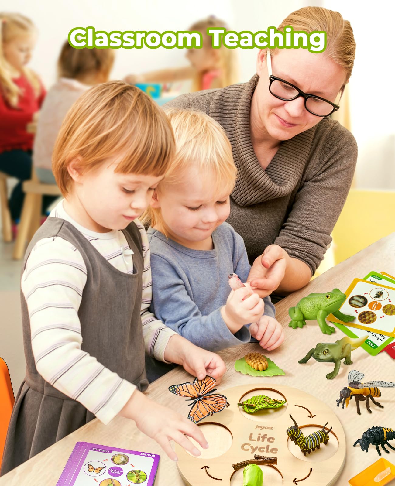 JoyCat Life Cycle Learning Toys – Insects & Amphibians Kit for Preschool Ages 3-8