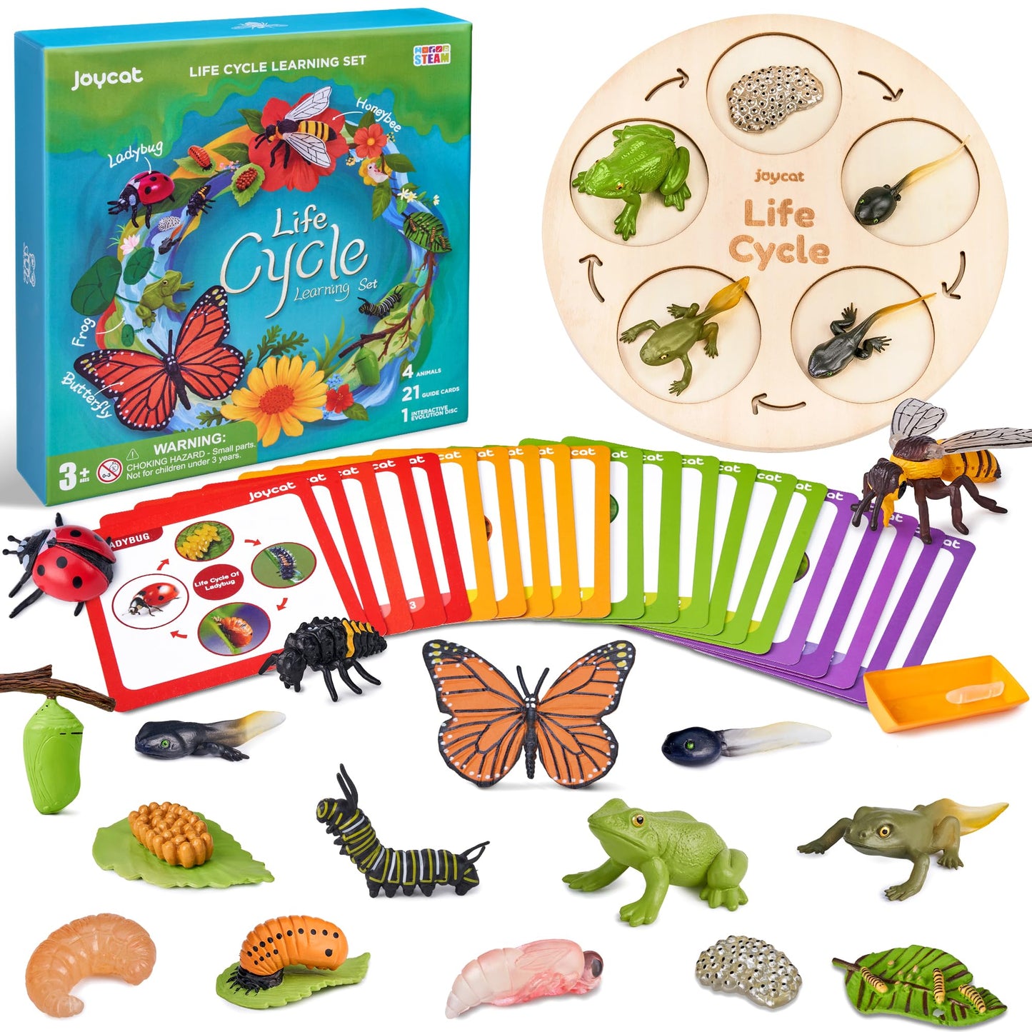 JoyCat Life Cycle Learning Toys – Insects & Amphibians Kit for Preschool Ages 3-8