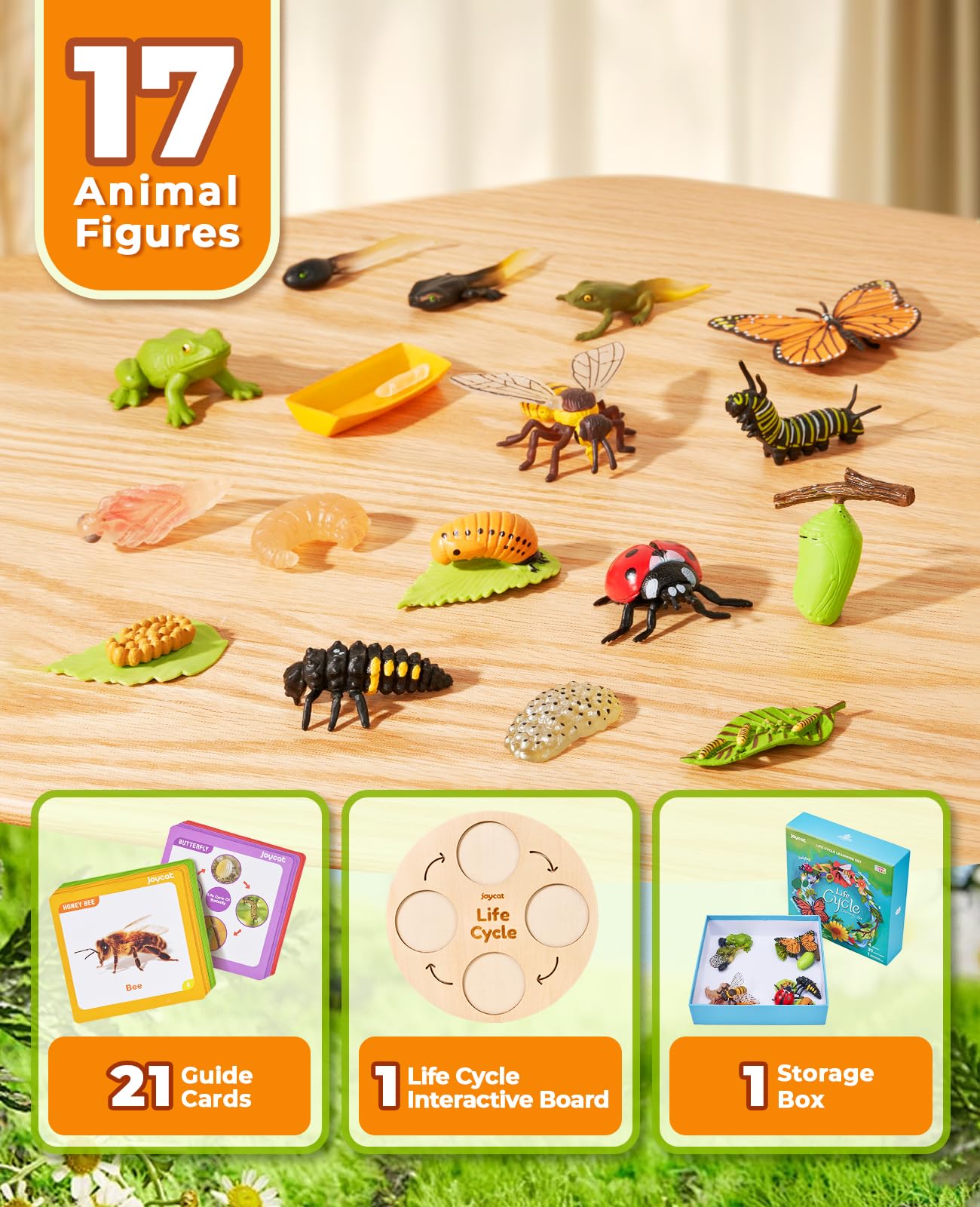 JoyCat Life Cycle Learning Toys – Insects & Amphibians Kit for Preschool Ages 3-8