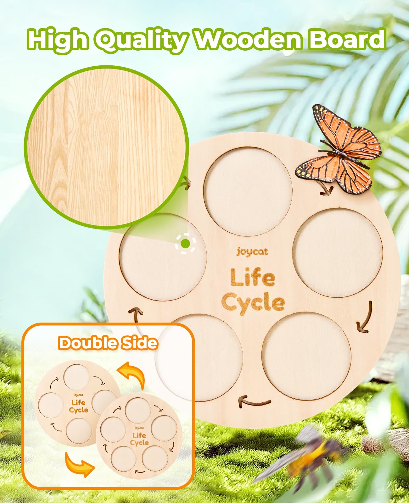 JoyCat Life Cycle Learning Toys – Insects & Amphibians Kit for Preschool Ages 3-8