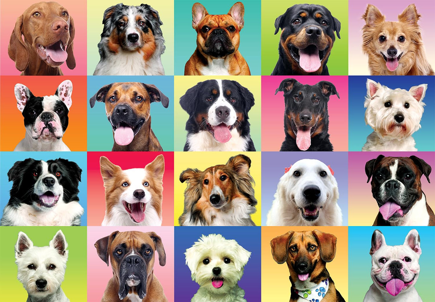 JOYIN 300-Piece Multicolor Dog Puzzle – Large 27.6 x 19.7 in Jigsaw for Kids & Adults