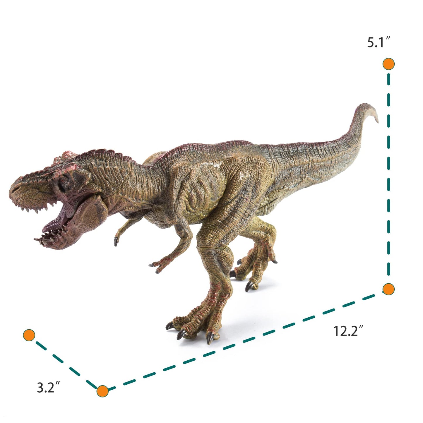 JR PARK 2Pcs Dinosaur Set – 15.7-inch Large T-Rex & 12.2-inch Realistic Tyrannosaurus Rex
