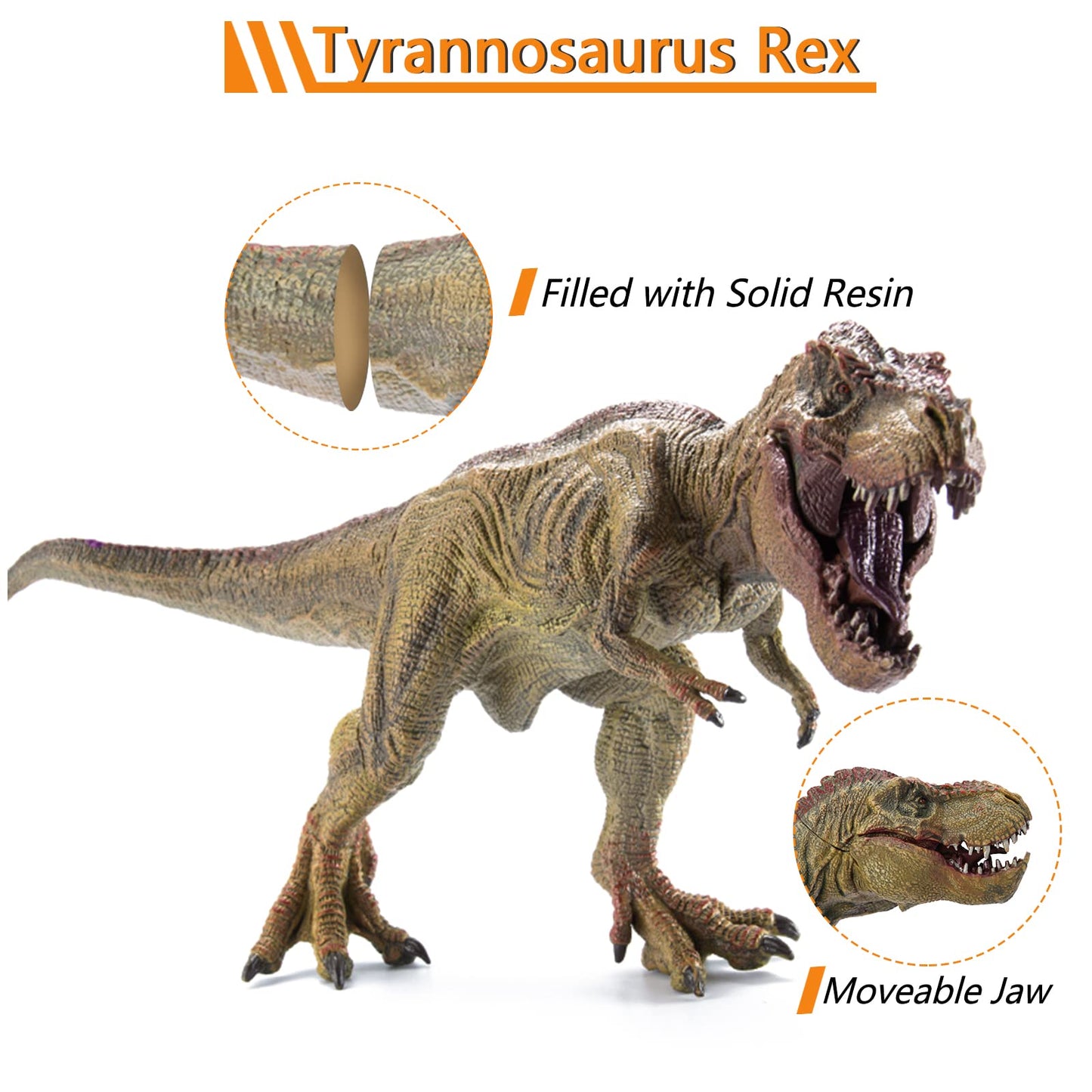 JR PARK 2Pcs Dinosaur Set – 15.7-inch Large T-Rex & 12.2-inch Realistic Tyrannosaurus Rex