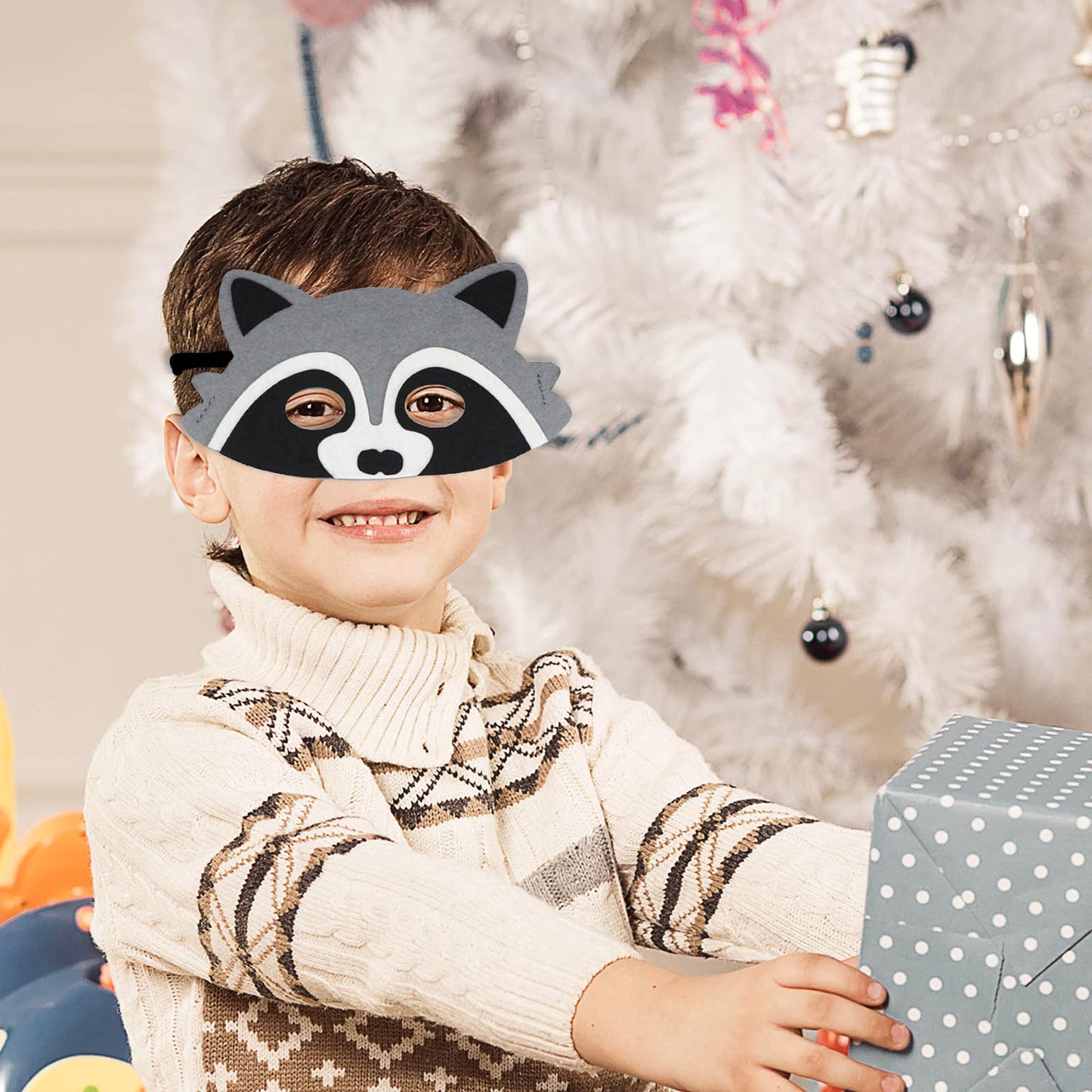 Jtnohx 10-Piece Raccoon Mask Set – Felt Animal Masks for Party & Creative Dress-Up