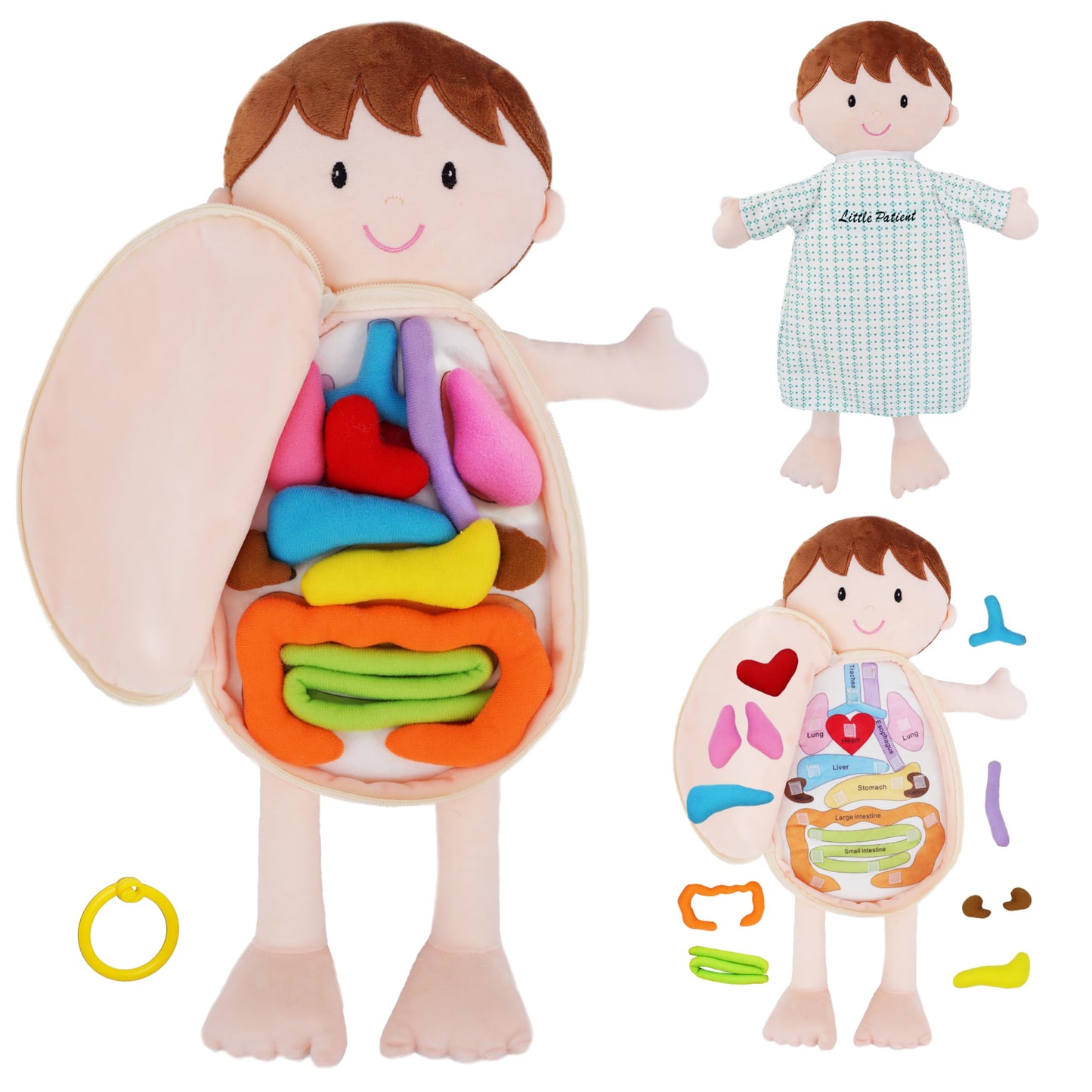 June Garden Little Patient Lucas Plush Anatomy Doll – Removable Organs for Kids