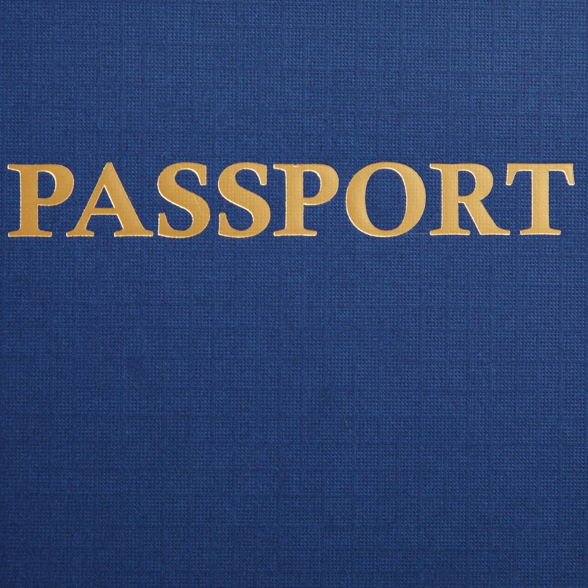 Juvale Kids Passport Book — 24-Pack, Blue Soft Cover, 4.1x5.6 in