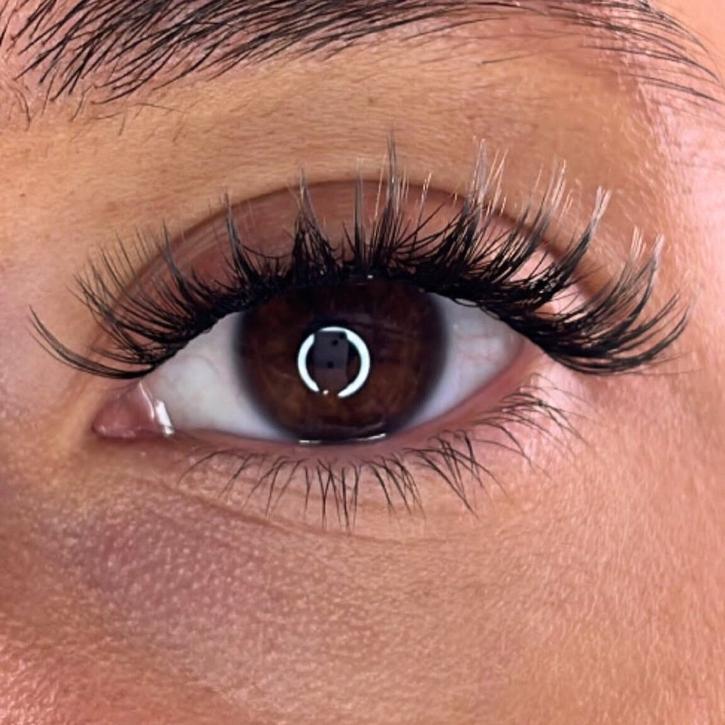 Lash Ribbons® Exclusive Lash Christmas Trees