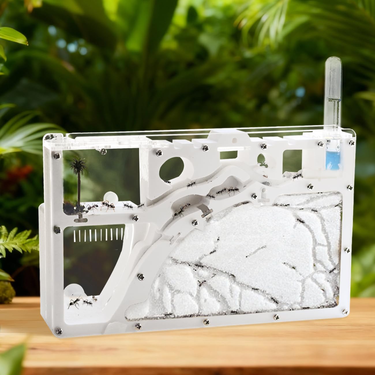 Kahopy Ant Farm Castle - Educational Ant Habitat Kit for Kids