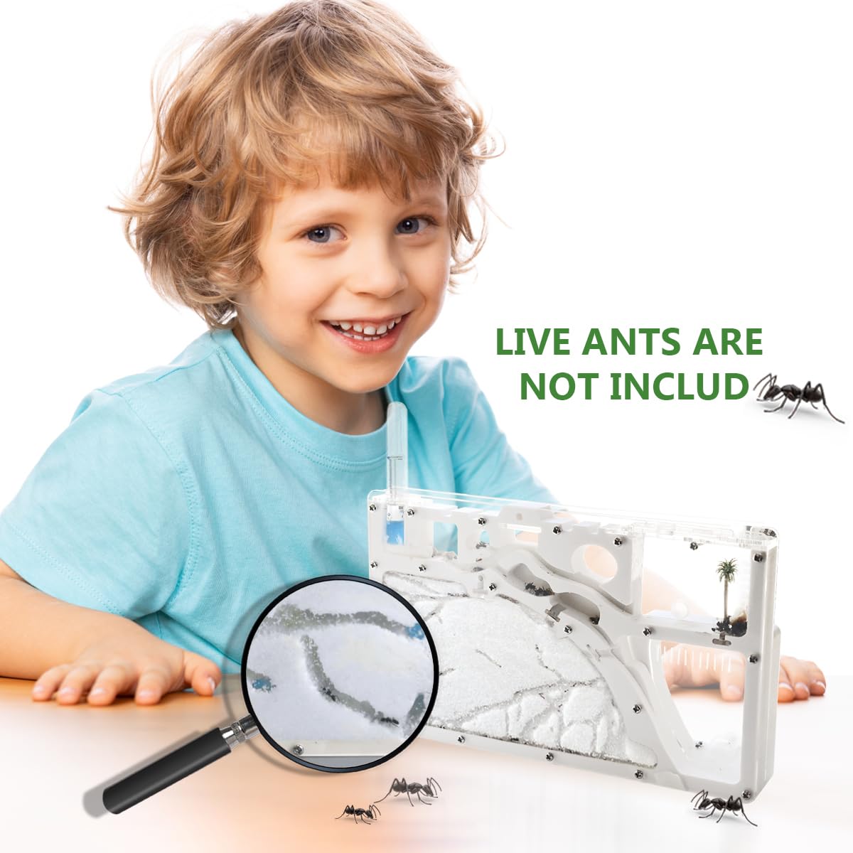 Kahopy Ant Farm Castle - Educational Ant Habitat Kit for Kids