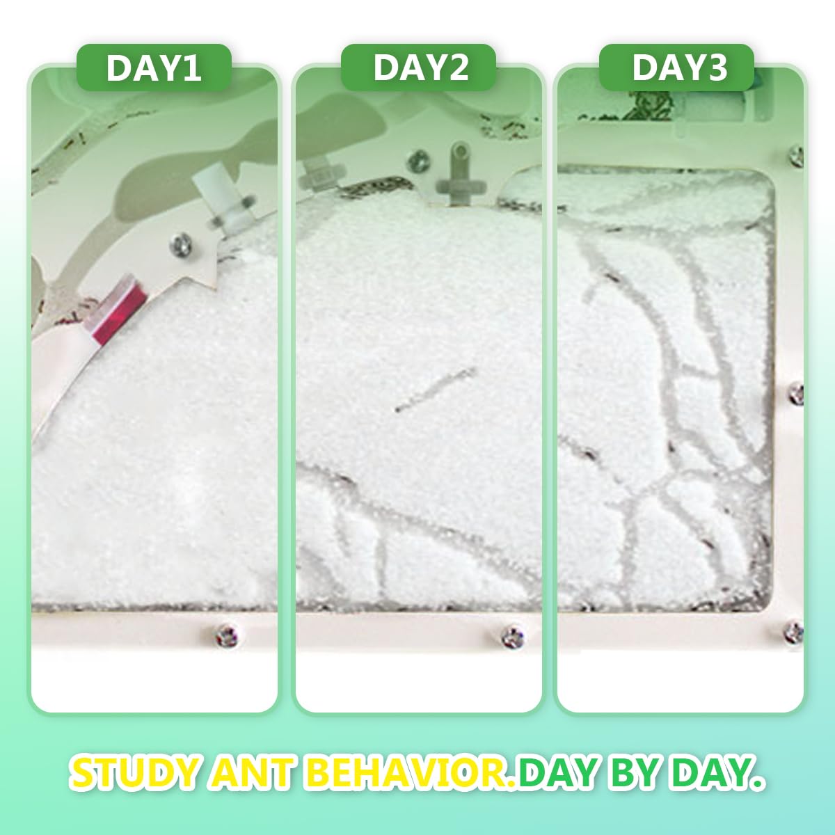 Kahopy Ant Farm Castle - Educational Ant Habitat Kit for Kids