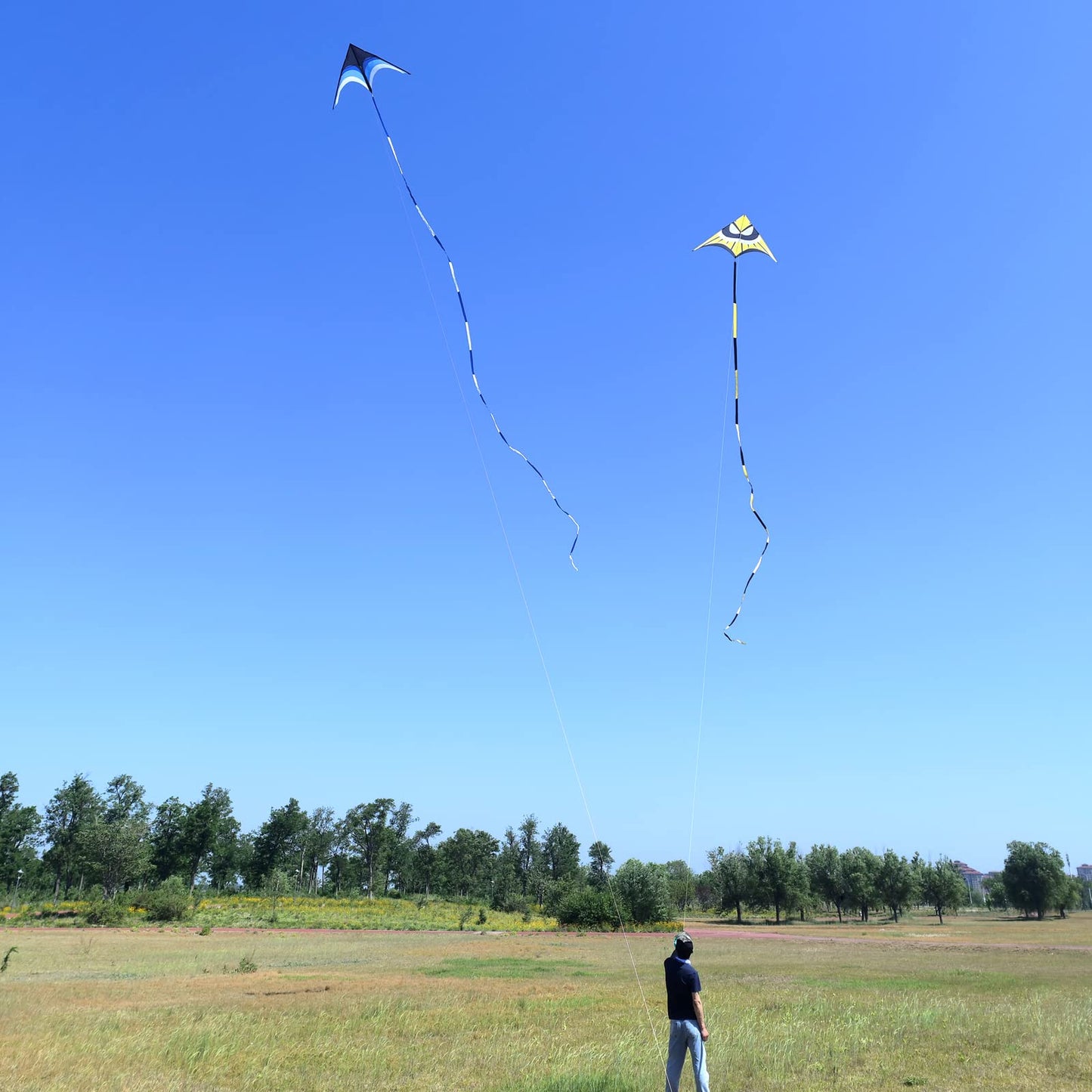 Kaiciuss Huge Delta Kite for Adults – 9ft Giant Single-Line with 30m Tail & 300ft Line (Blue)