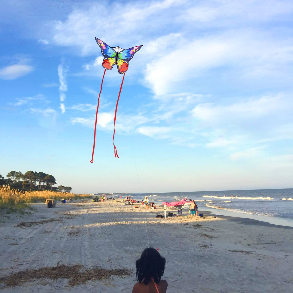 Kaiciuss Butterfly Kite — 55x28 Inch, Easy to Fly for Kids & Adults with 300 ft Line