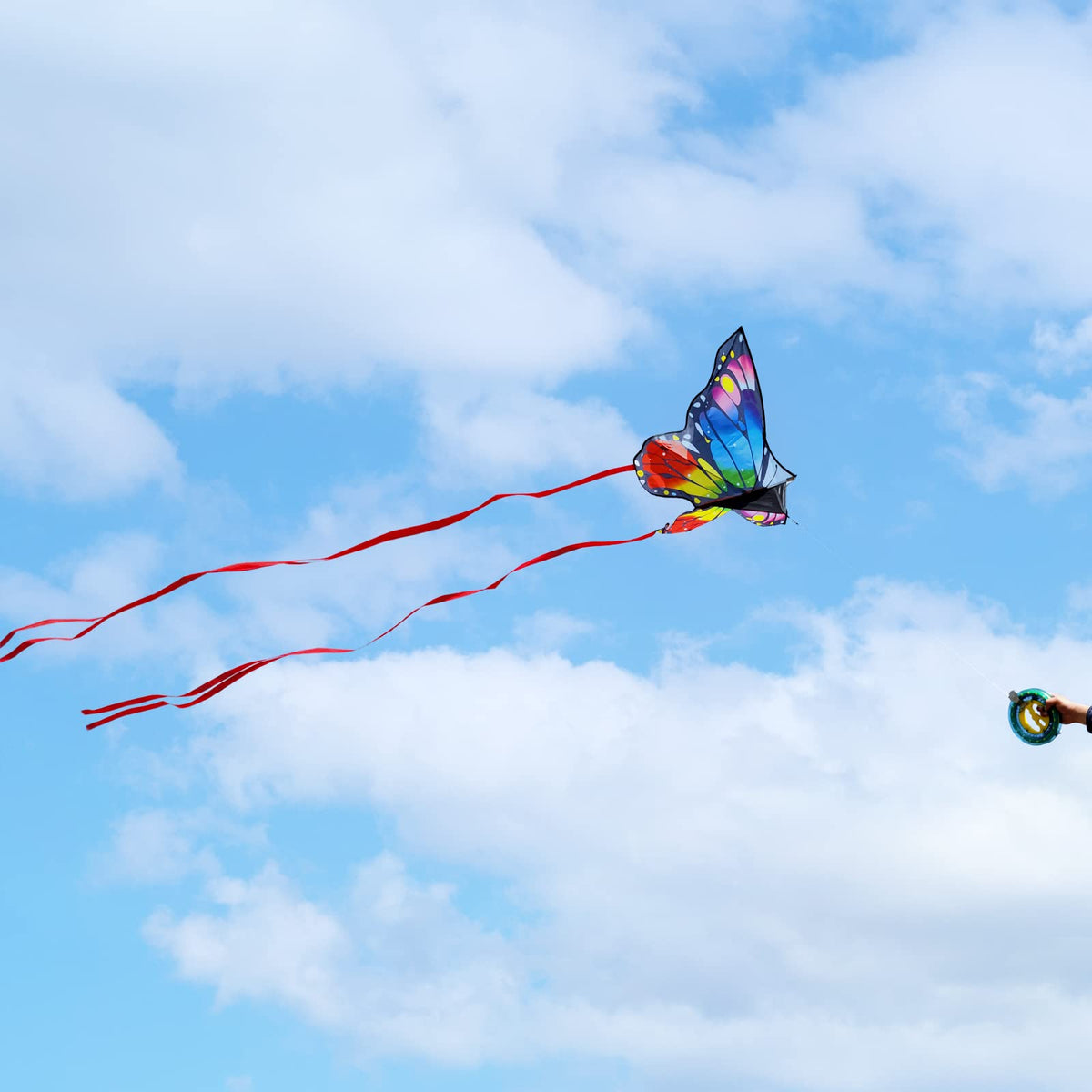 Kaiciuss Butterfly Kite — 55x28 Inch, Easy to Fly for Kids & Adults with 300 ft Line