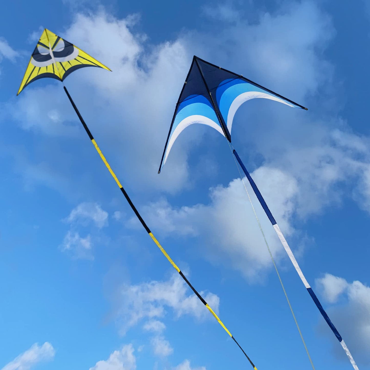 Kaiciuss Huge Delta Kite for Adults – 9ft Giant Single-Line with 30m Tail & 300ft Line (Blue)