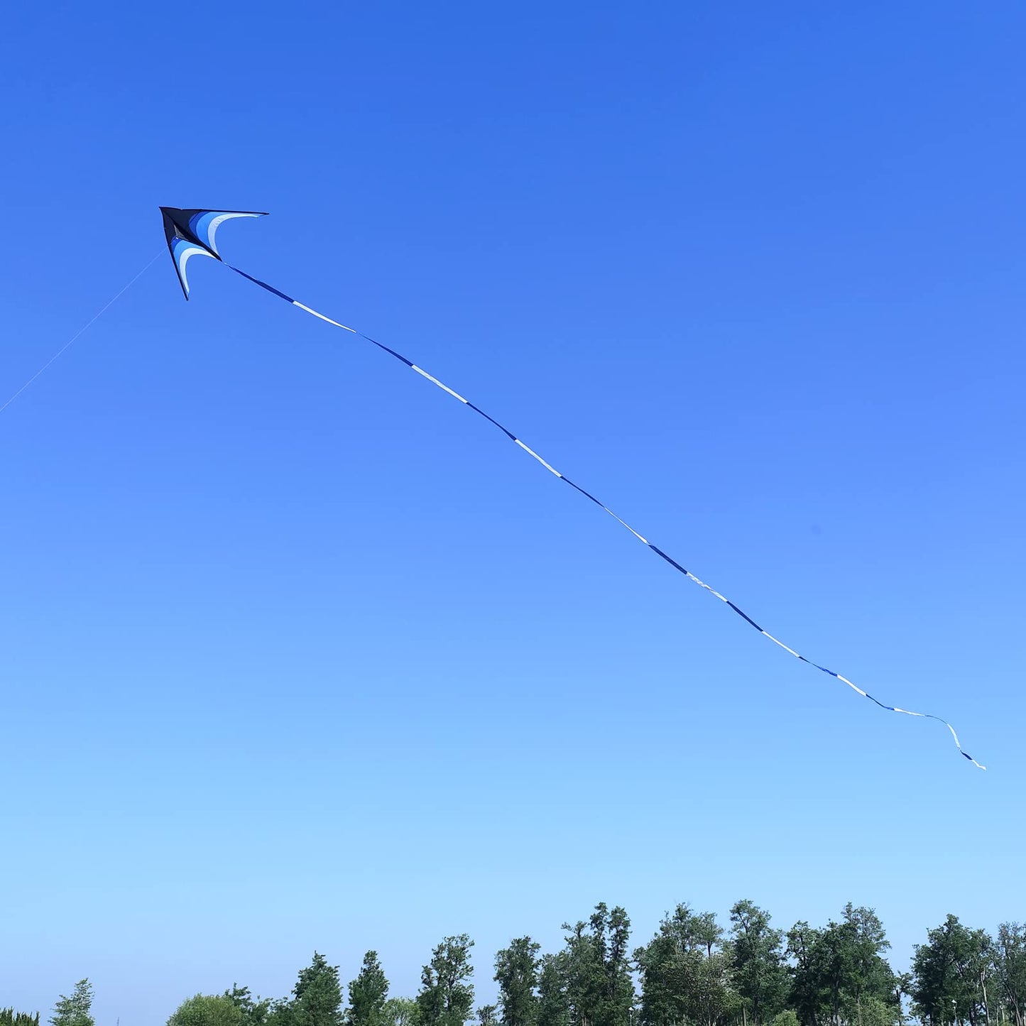 Kaiciuss Huge Delta Kite for Adults – 9ft Giant Single-Line with 30m Tail & 300ft Line (Blue)