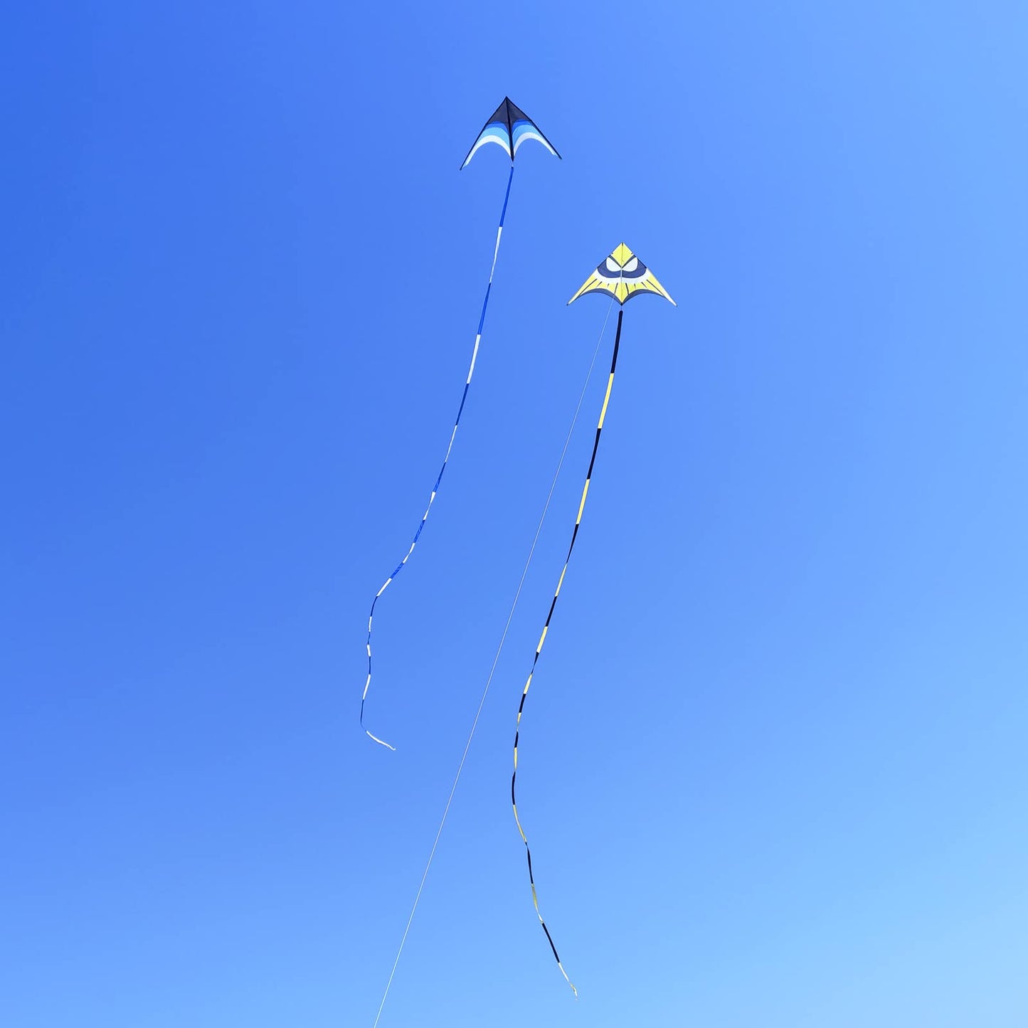 Kaiciuss Huge Delta Kite for Adults – 9ft Giant Single-Line with 30m Tail & 300ft Line (Blue)