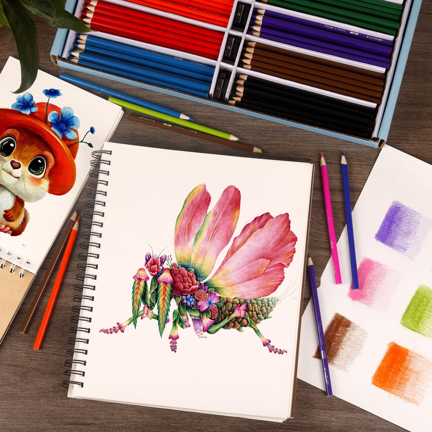 KALOUR Premium Colored Pencils Bulk – 240 Count, 12 Vibrant Colors, Pre-Sharpened Classroom Set