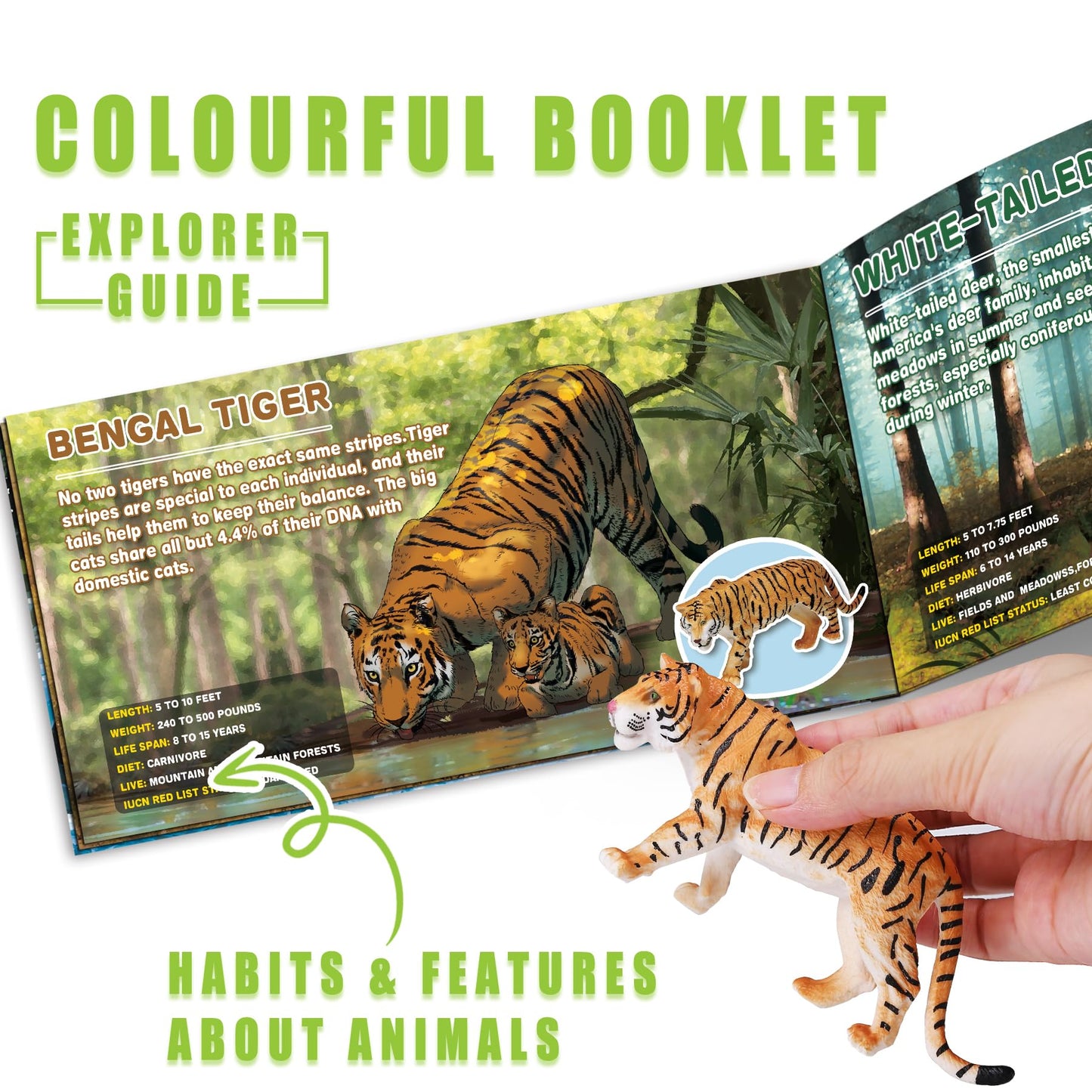 KarberDark 13-Pack Wild Animal Toys with Booklet | Realistic Safari Figures