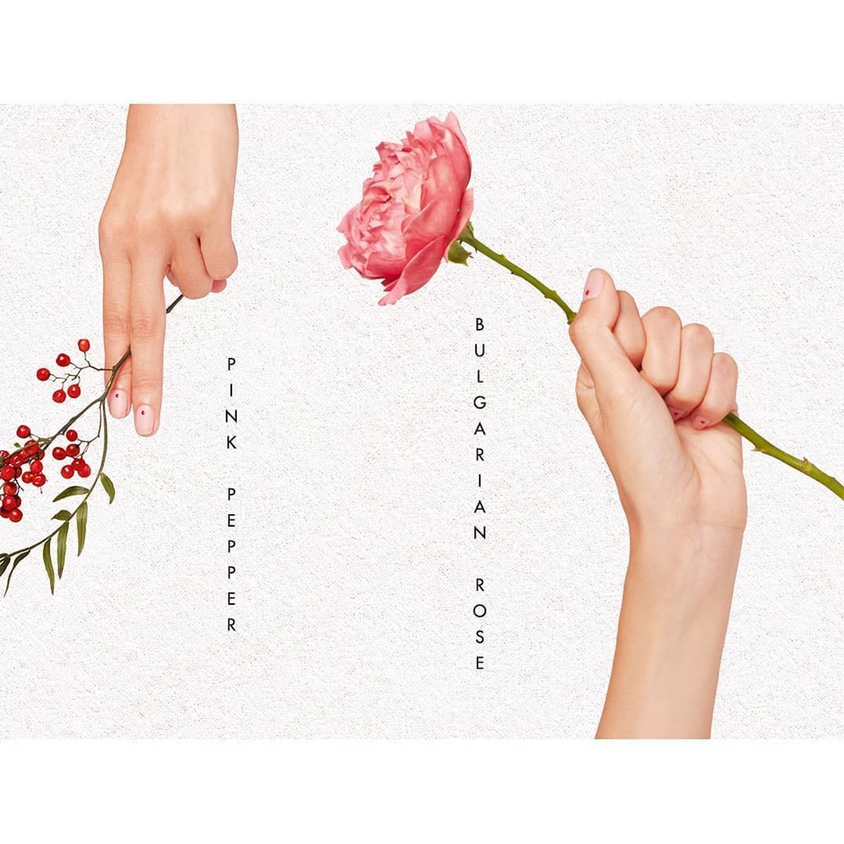 Kenzo Flower Eau de Parfum 50ml Spray - Kokeshi Doll