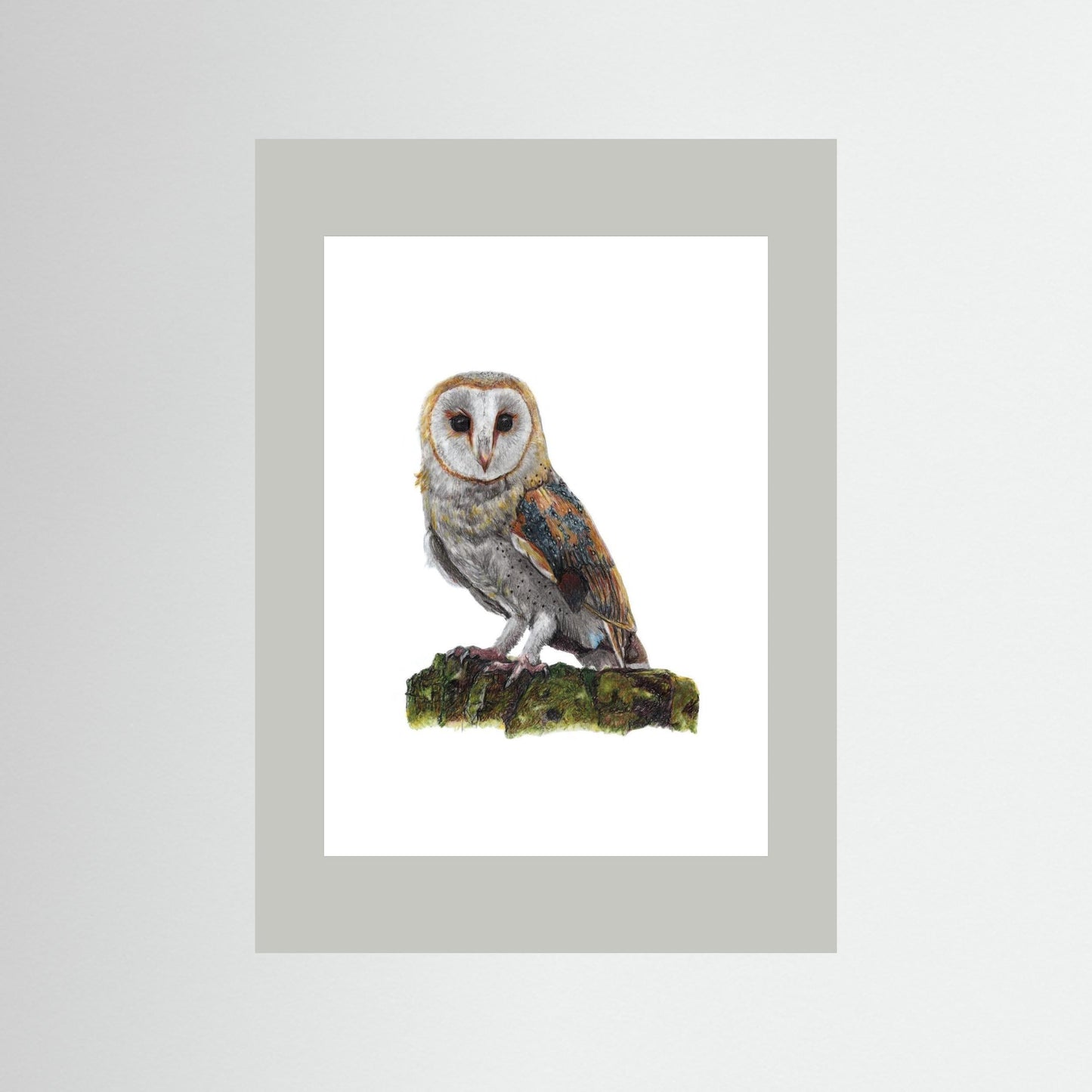 Barn Owl Wildlife Framed Art Print | British Bird Wall Art