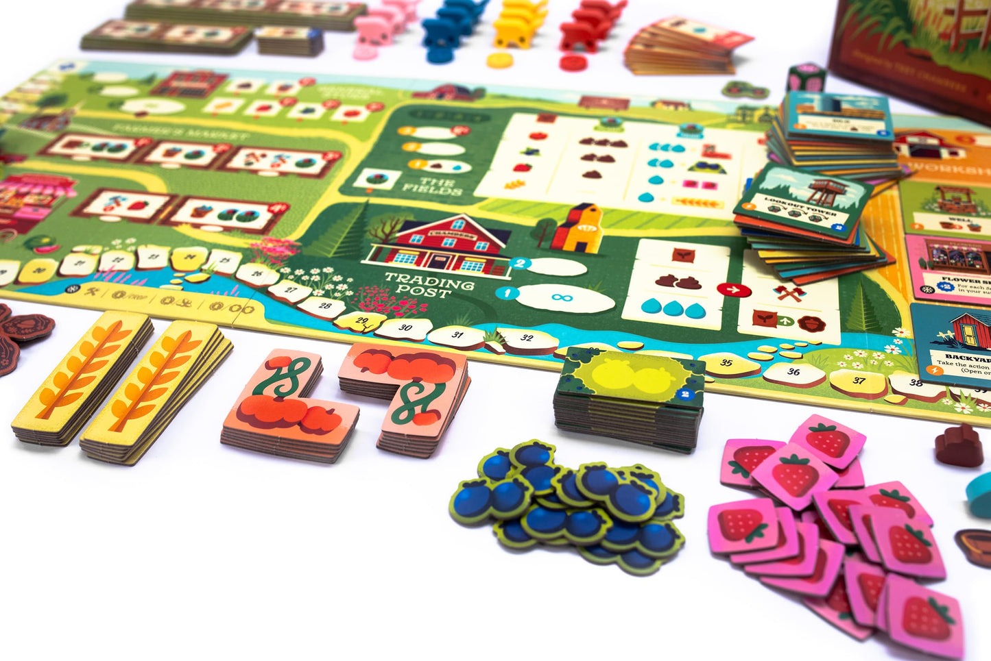 Keymaster Games Harvest – Cozy Strategy Board Game for Adults, Families & Couples | 60-Minute Play