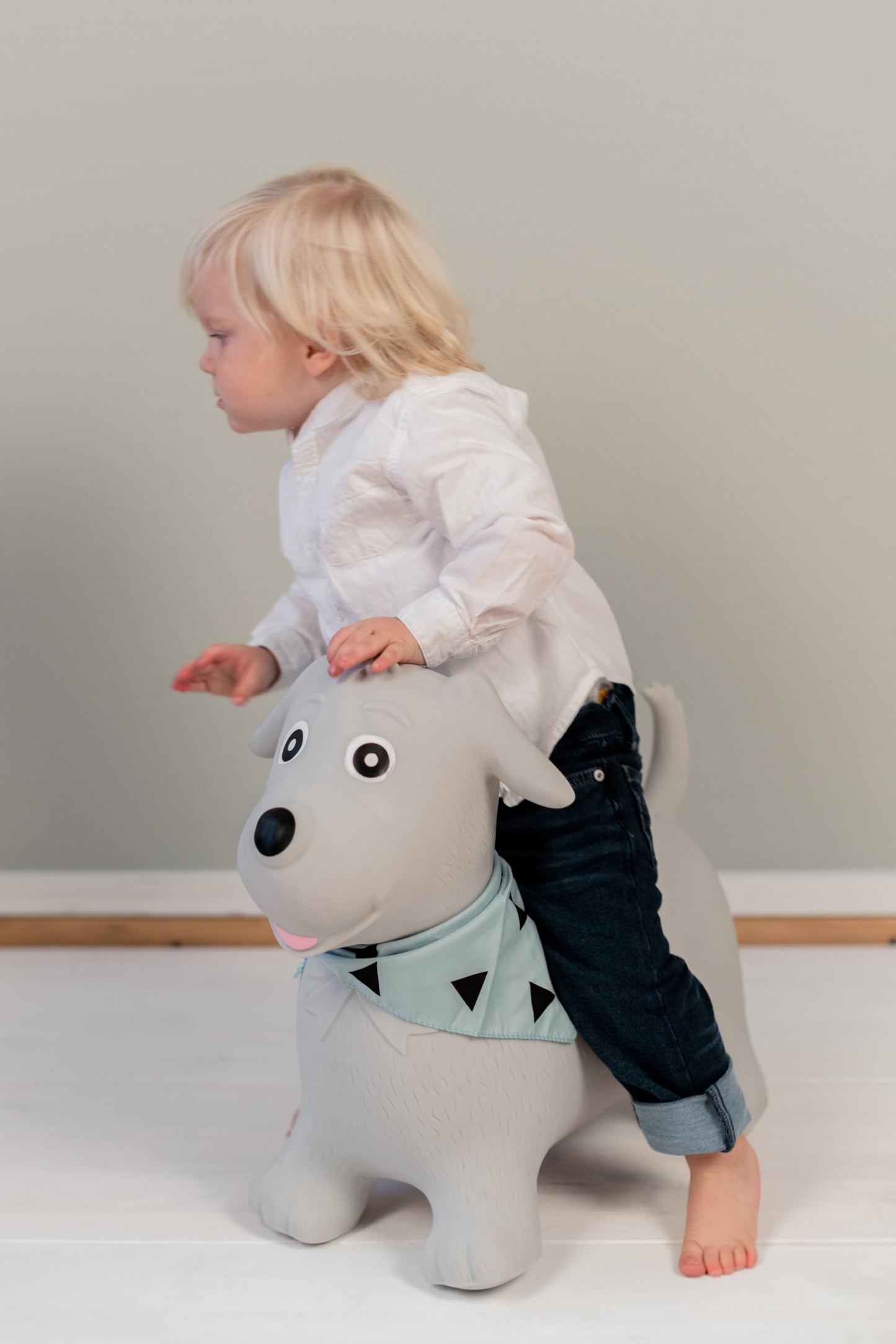 Kindsgut Bouncy Animal Hopper Dog – Indoor/Outdoor Fun with Pump Included