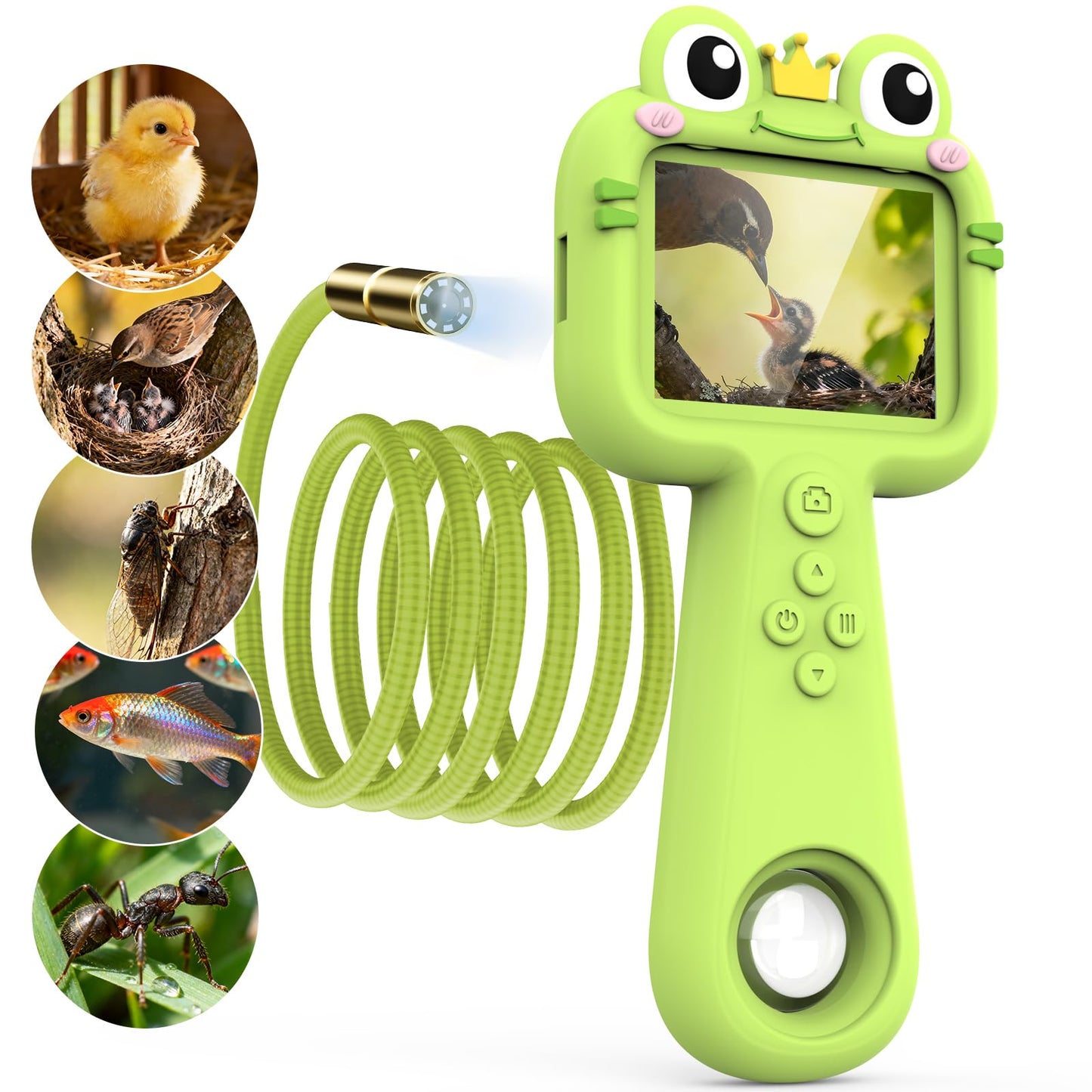 Kiscamgear Kids Camera and Endoscope with Light — STEM Outdoor Explorer