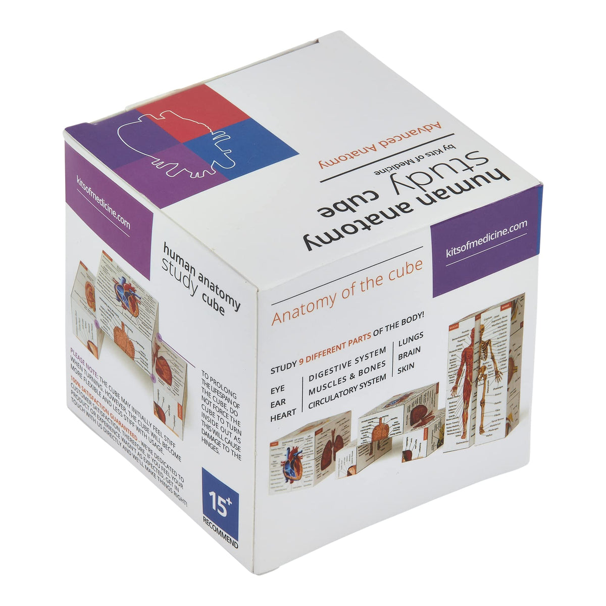 Kits of Medicine Human Anatomy Study Cube – 9-Part Revision Model | Gift for Medical Students