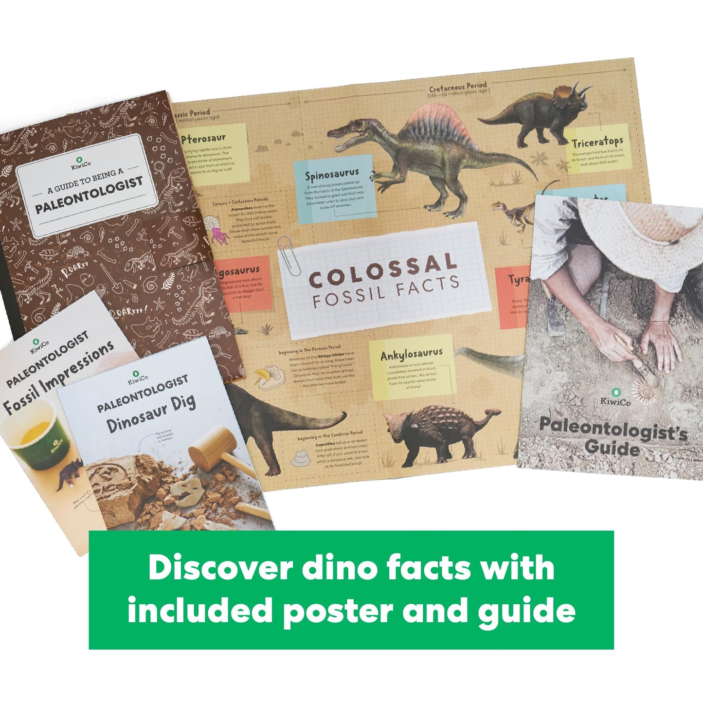 KiwiCo Dinosaur Fossil Dig Kit for Kids 6+ | Excavate & Build Dinosaur Skeleton | STEM Paleontology Kit & Poster