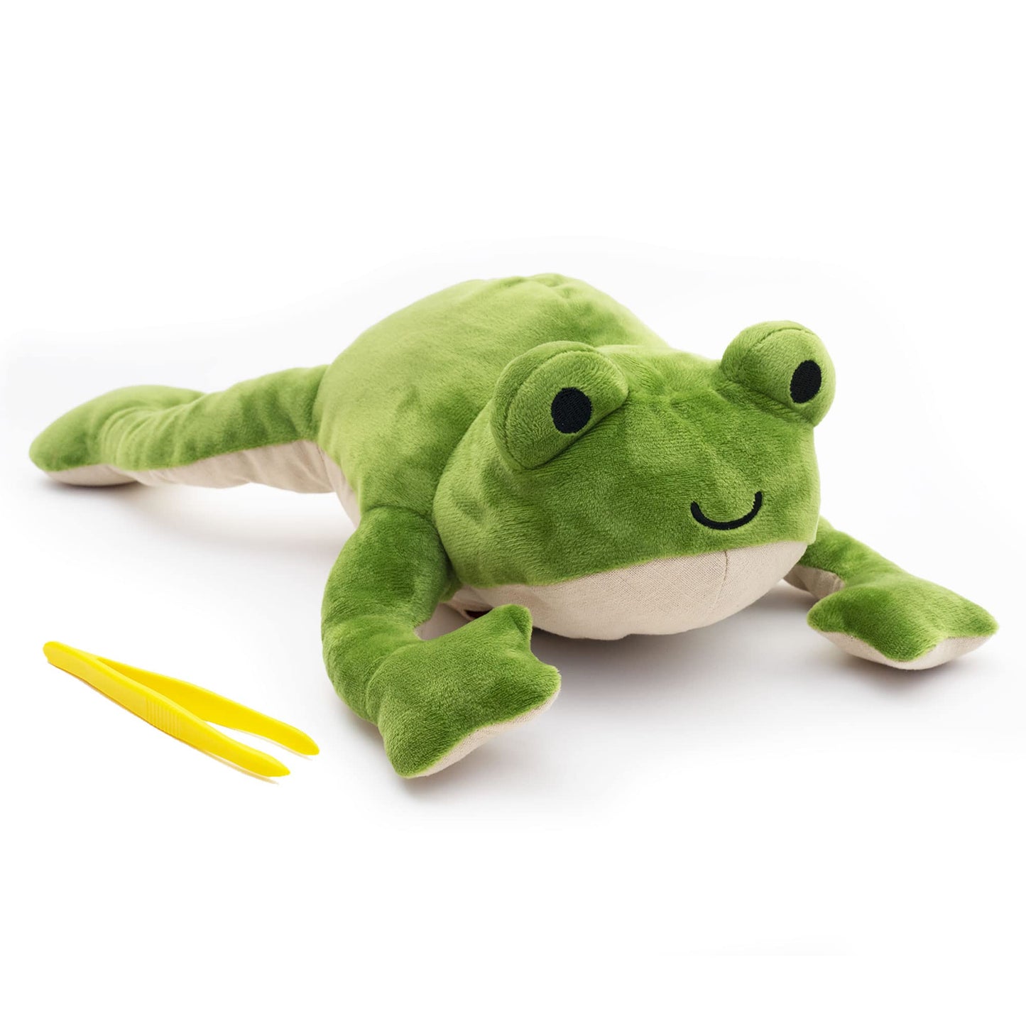 KiwiCo Froggie Lab Dissection Plush – Anatomy Learning Toy for Ages 3+