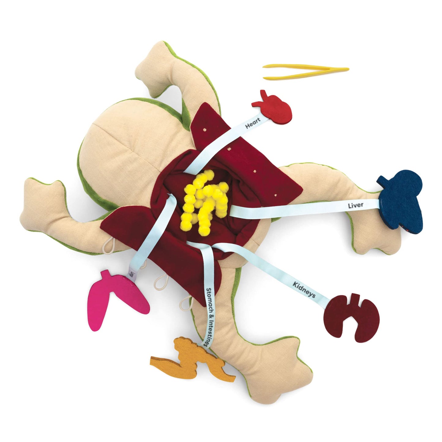 KiwiCo Froggie Lab Dissection Plush – Anatomy Learning Toy for Ages 3+