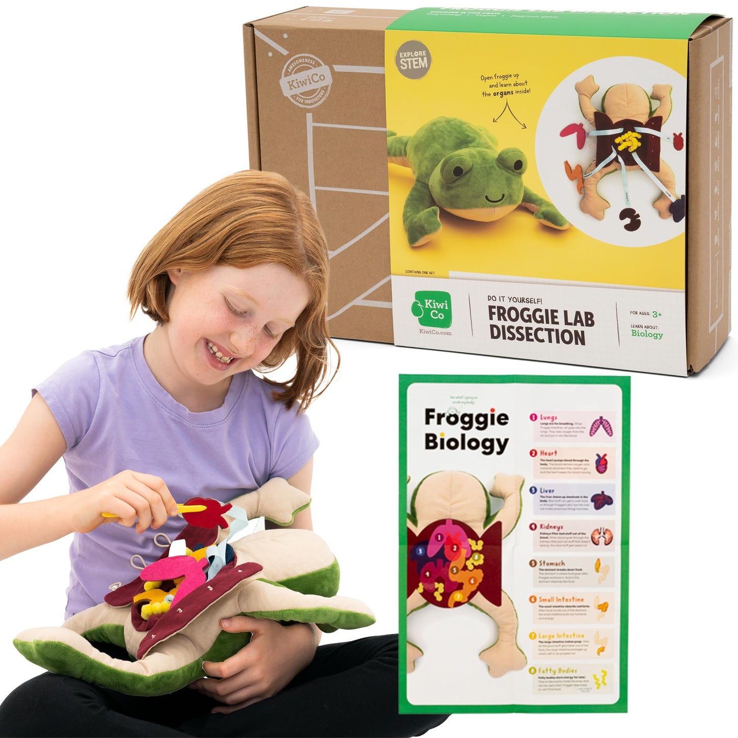 KiwiCo Froggie Lab Dissection Plush – Anatomy Learning Toy for Ages 3+