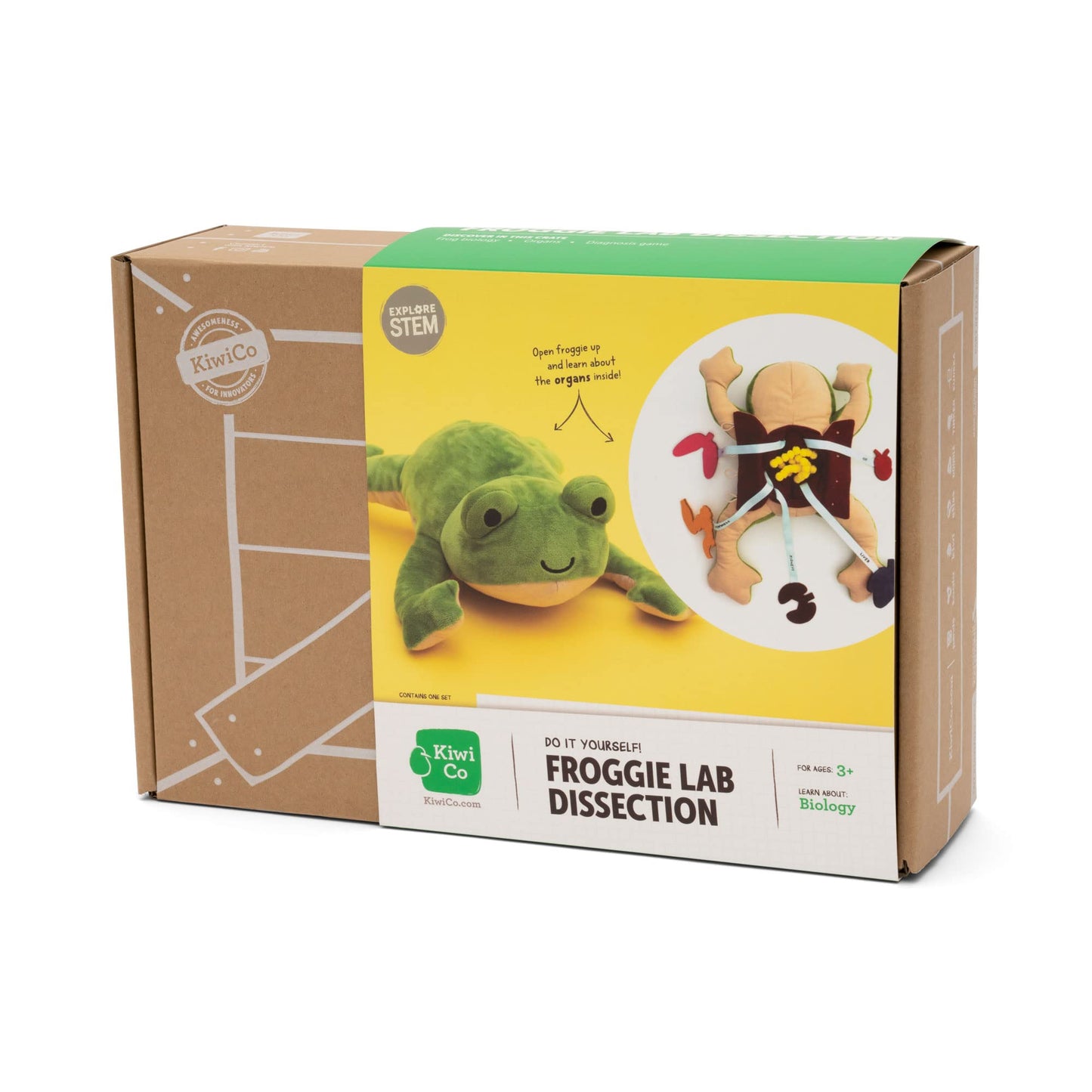 KiwiCo Froggie Lab Dissection Plush – Anatomy Learning Toy for Ages 3+