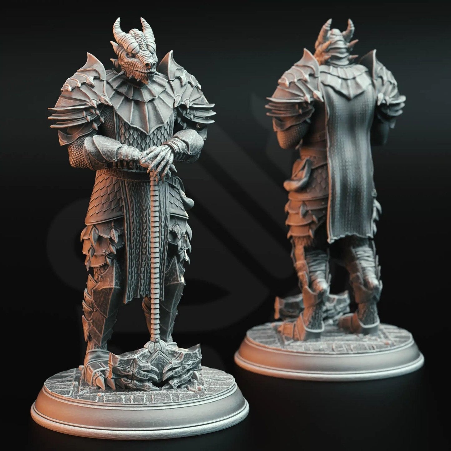 Knights of the Dragon - 3D Printed Fighter Character Miniature