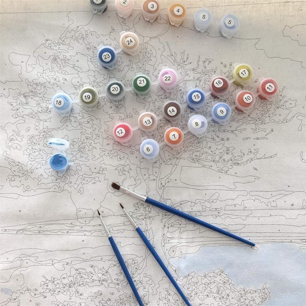 KOMI Creative Queen Abstract Paint by Numbers Kit for Adults - 16x20in