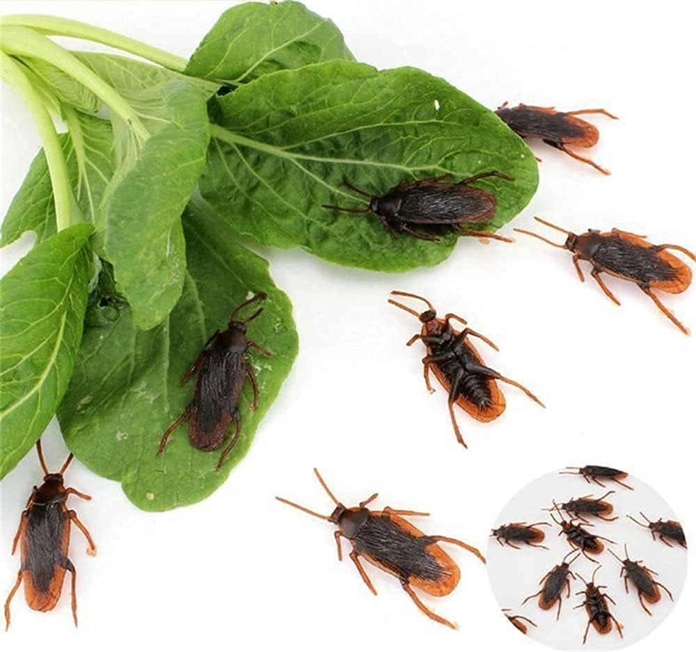 Ksquares Prank Fake Roaches – Realistic 5-Piece Plastic Insects for Parties and Pranks