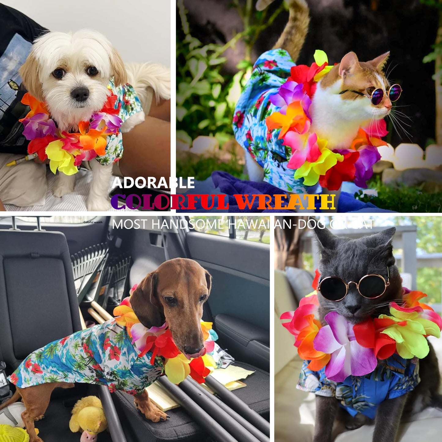 KUCDBUN 6-in-1 Dog Pool Float for Small Dogs | Inflatable Pet Raft