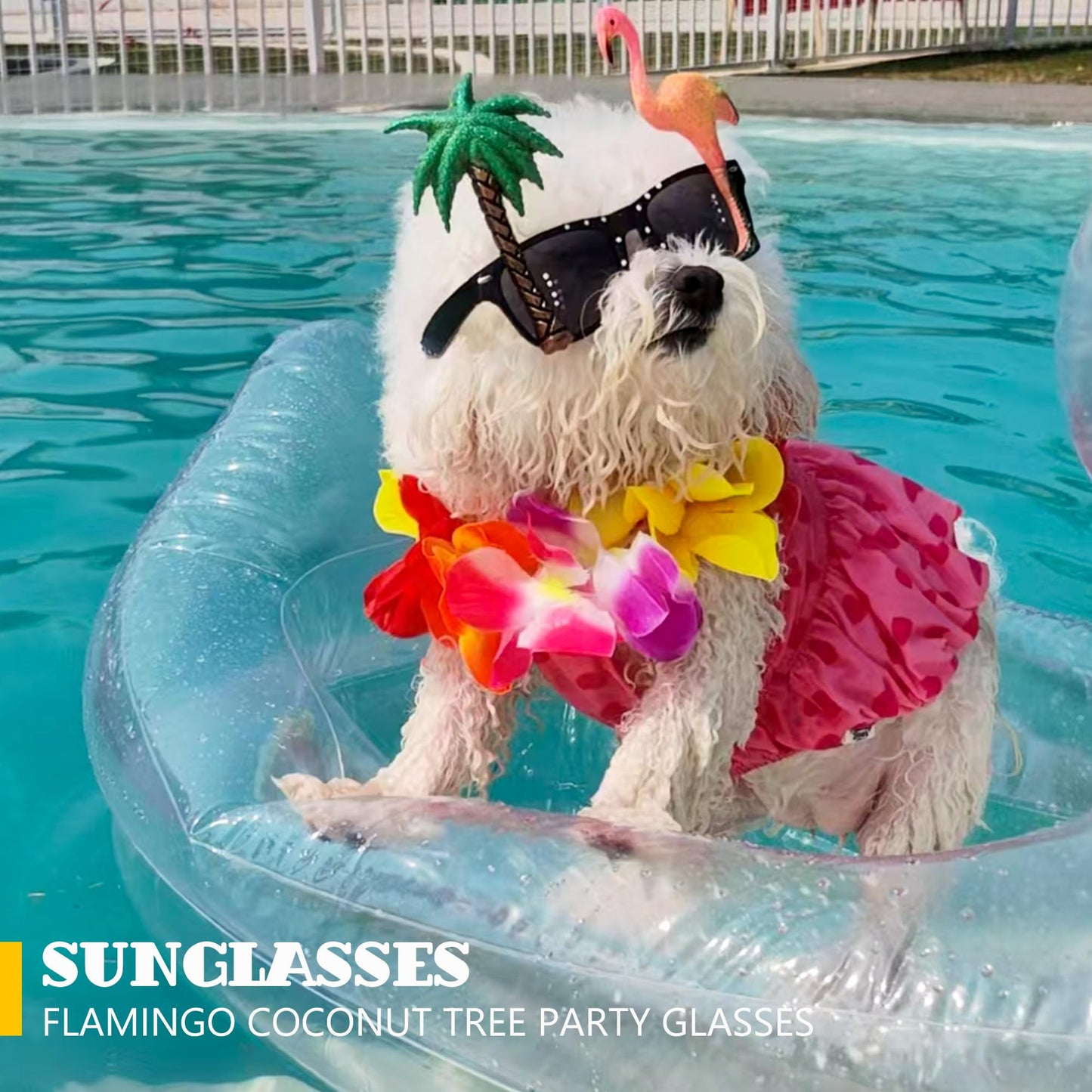KUCDBUN 6-in-1 Dog Pool Float for Small Dogs | Inflatable Pet Raft